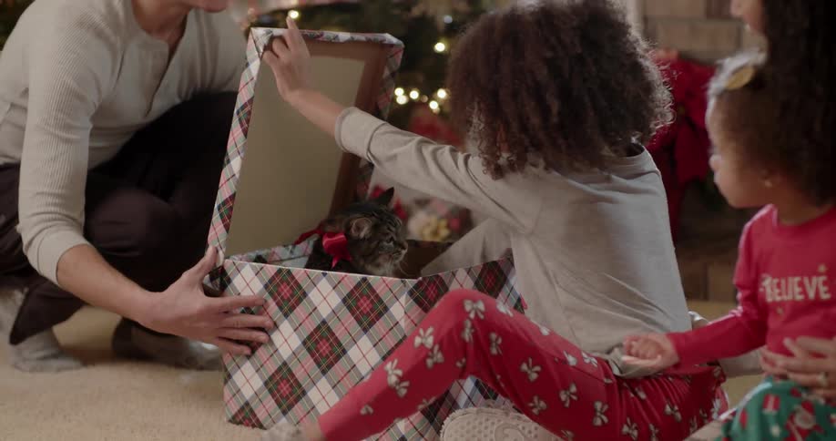 A young girl opens a christmas present and lifts a cat out
