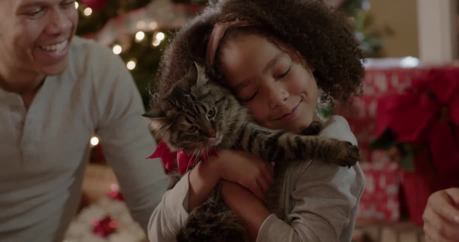 A girl kisses and hugs the cat she received for christmas