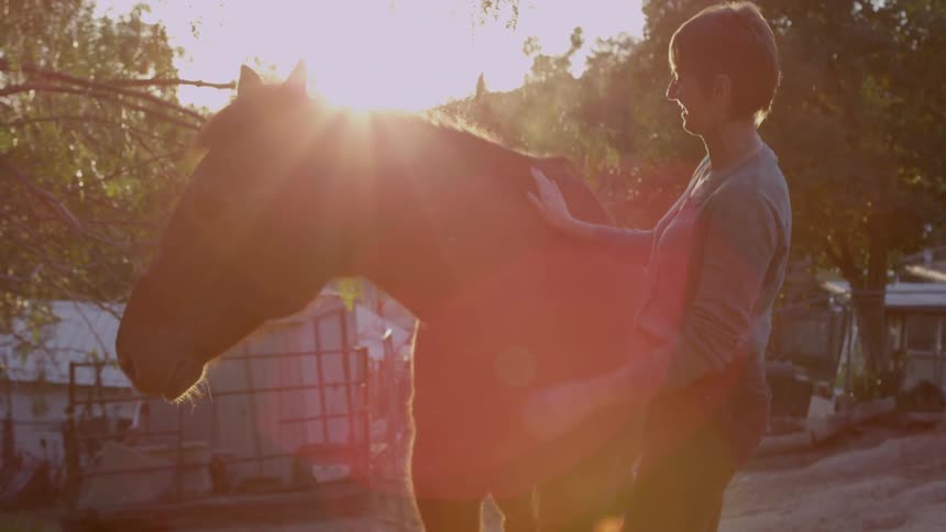 A person petting a horse