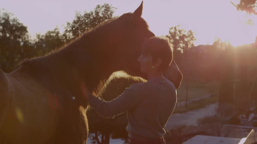 Man pets a very large horse as the sun rises