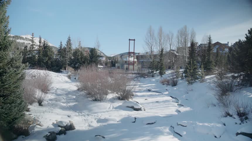 Snow covers a forested landscape
