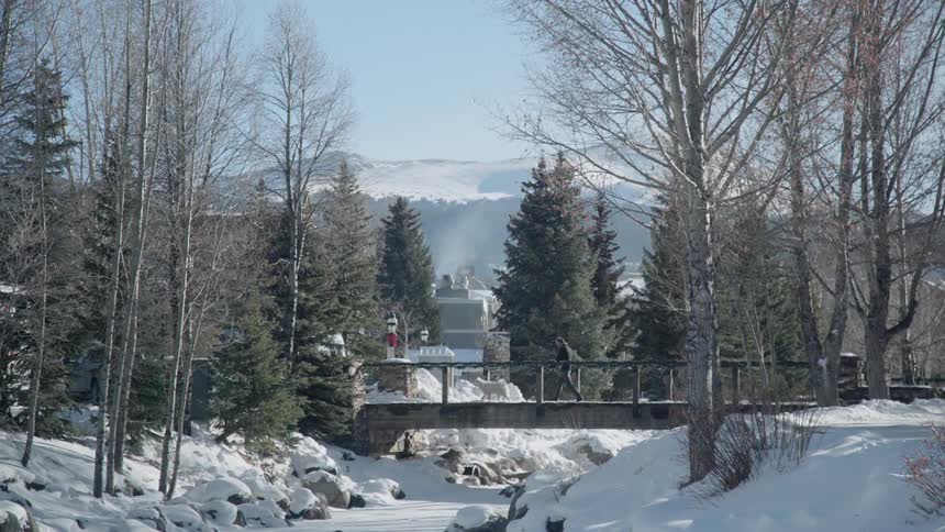 Someone is walking their dog over a small bridge in the snow