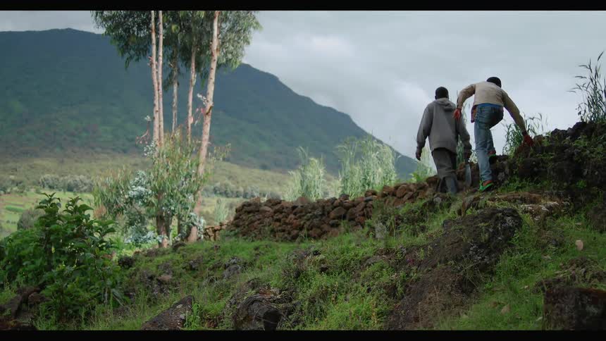 Man and boy climb a slope up to a path