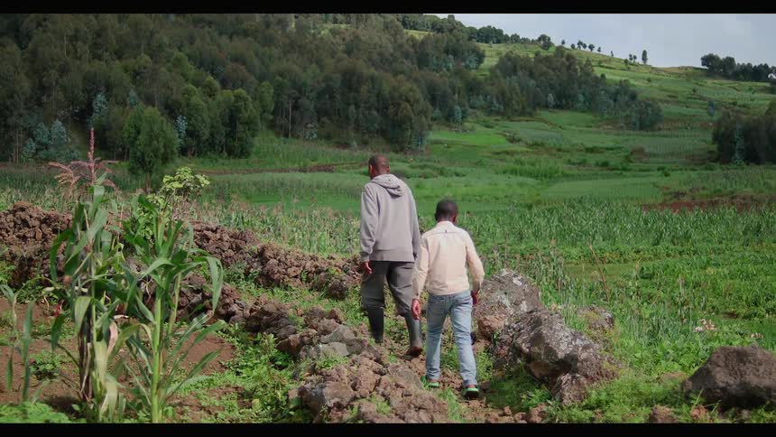 A man and boy walk across a rural field with a machete