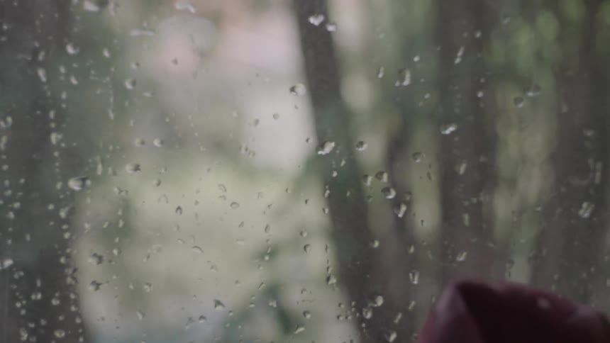 Water droplets cover a glass window