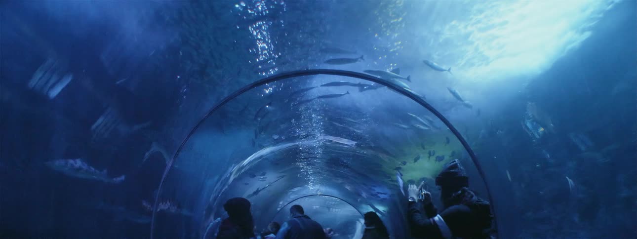 People stand in an aquarium tunnel