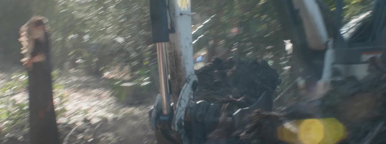 An excavator digs up the dirt around a tree stump
