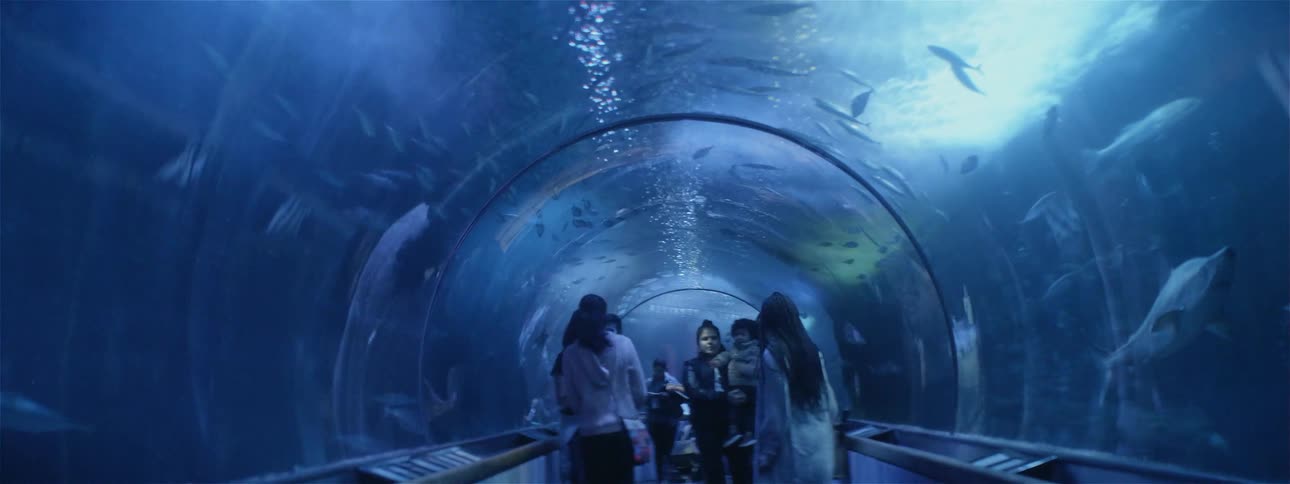 People walk through the tunnel aquarium looking at fish