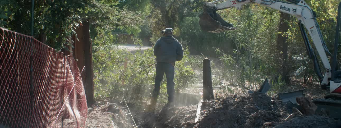 A worker cuts down a tree then starts to cut off branches