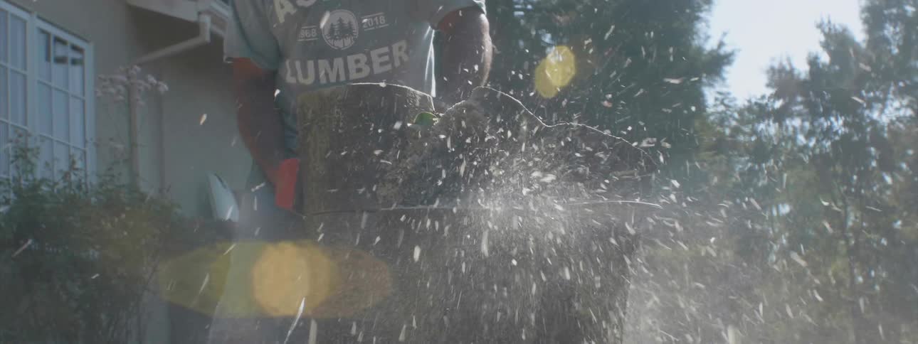 Man uses a saw to cut tree trunks