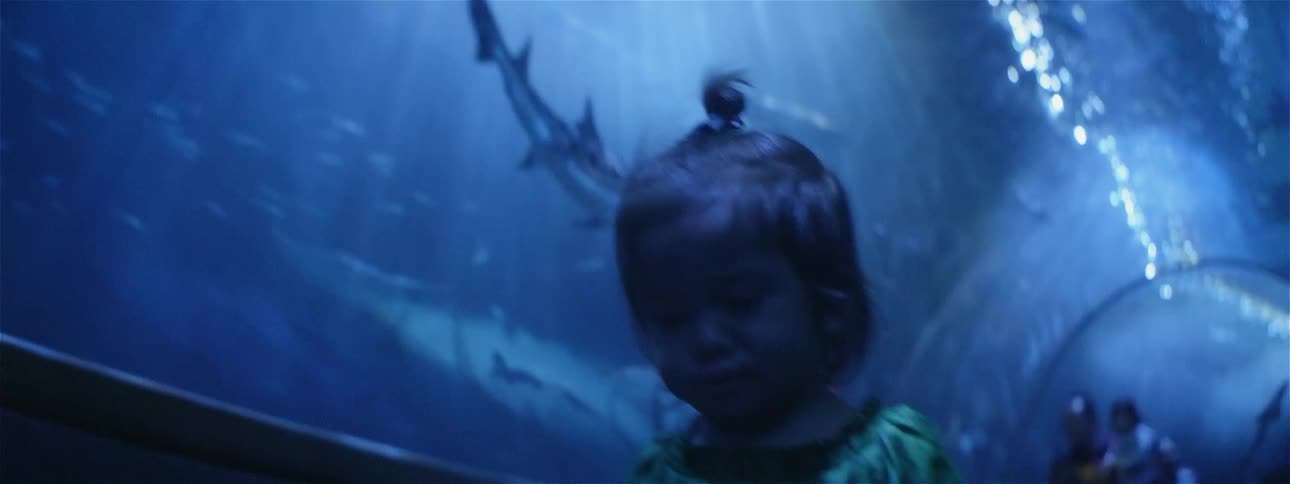A toddler walks in an aquarium tunnel