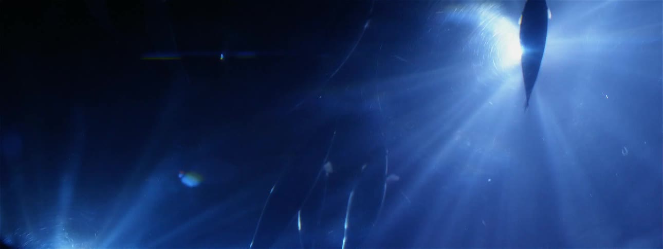 Sunlight is streaming down on a school of fish swimming underwater