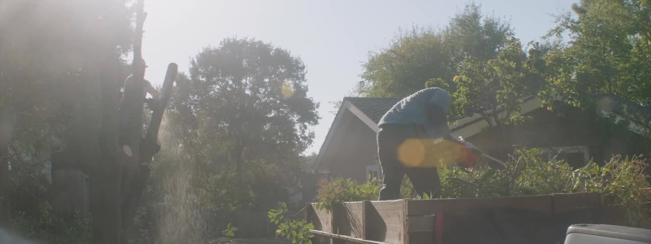 Landscapers are working in a yard cutting trees and shrubs