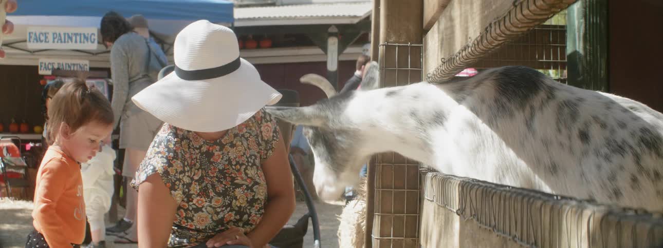 A woman with a child feeds a goat at a petting zoo