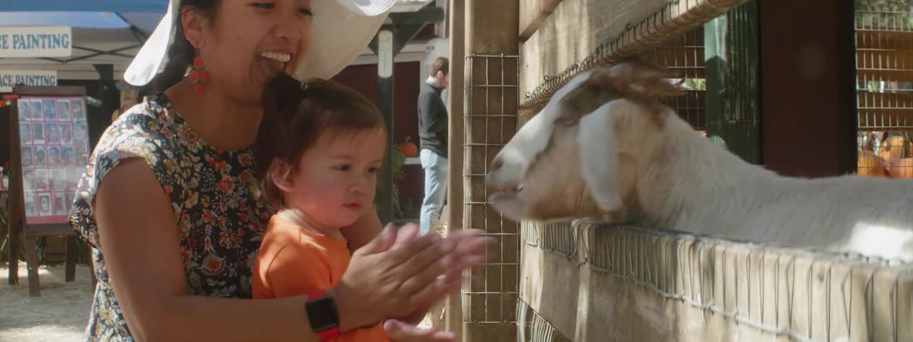 A girl claps after she feeds to the goat at a petting zoo
