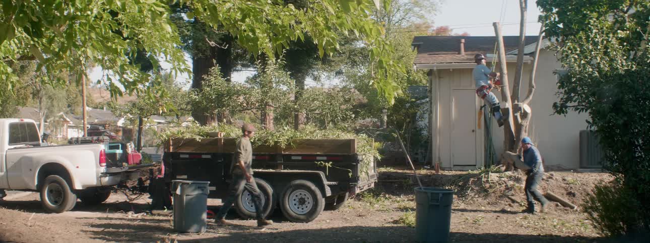 People are loading logs and shrubbery into a vehicle to dispose of it