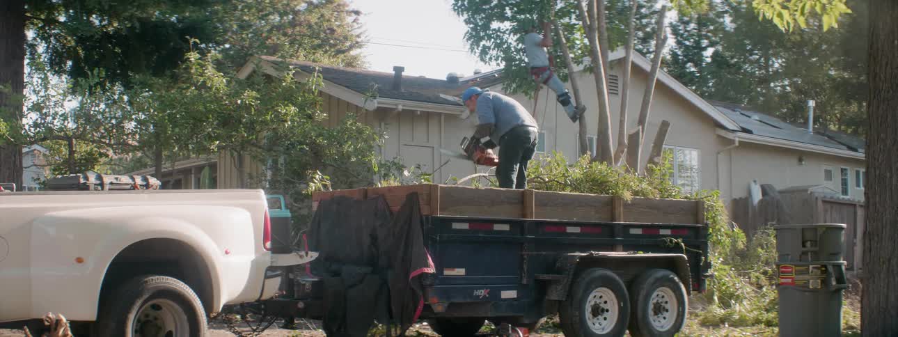 Workers trim trees with chainsaws in a neighborhood
