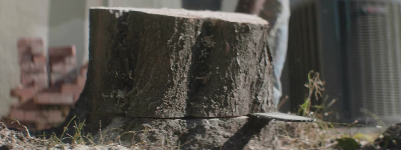 A man uses a chainsaw to cut through a tree stump