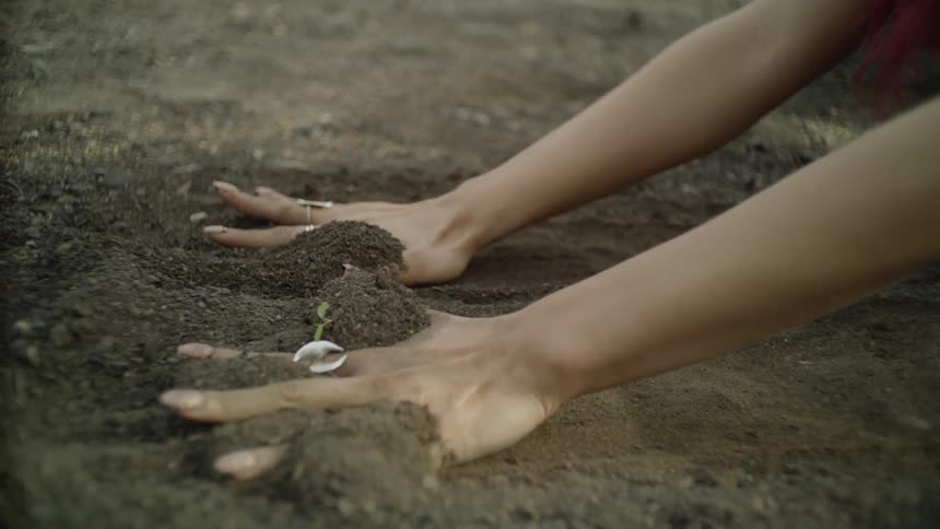 A woman kneels in dirt and rubs her hands on the ground