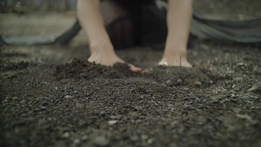 A person wearing black leans forward putting their hands in the soil
