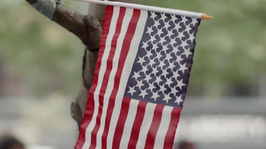 An american flag hanging on the tree blows in the wind