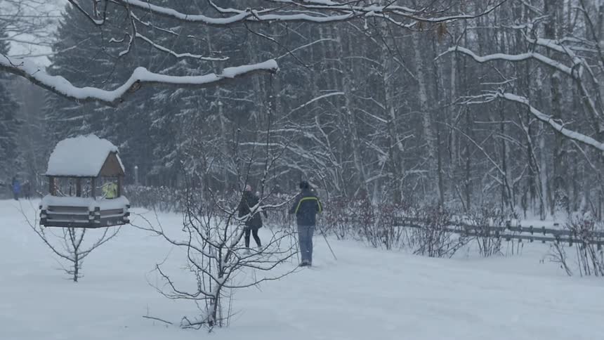 People cross country ski in the snow