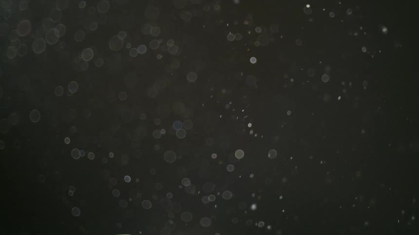 Specks of dust float in the air