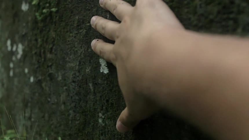 A person is dragging their hand over a moss-covered wall
