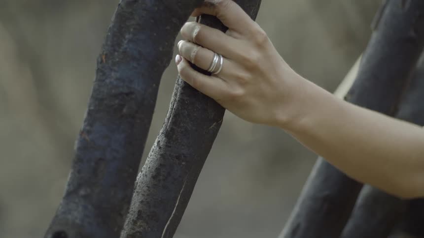 A woman is grabbing a large tree branch as she walks through the woods