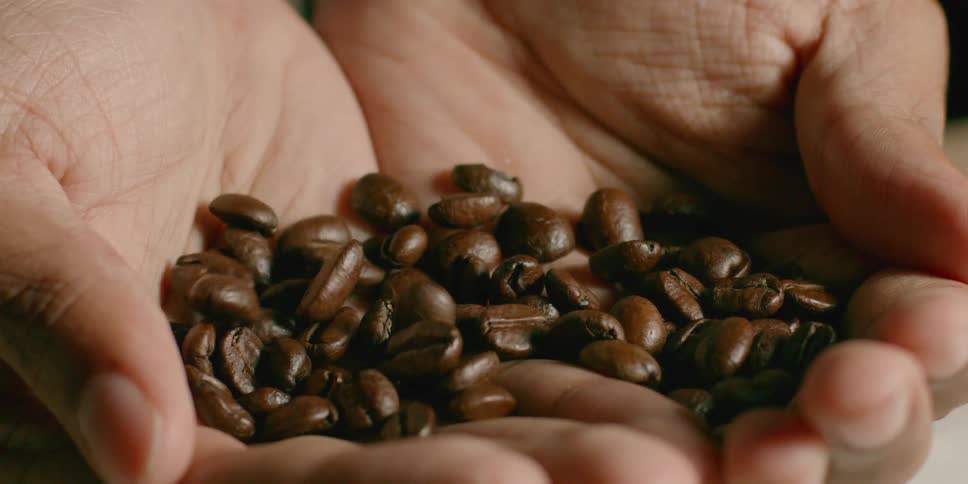 Coffee beans fall into a pair of hands