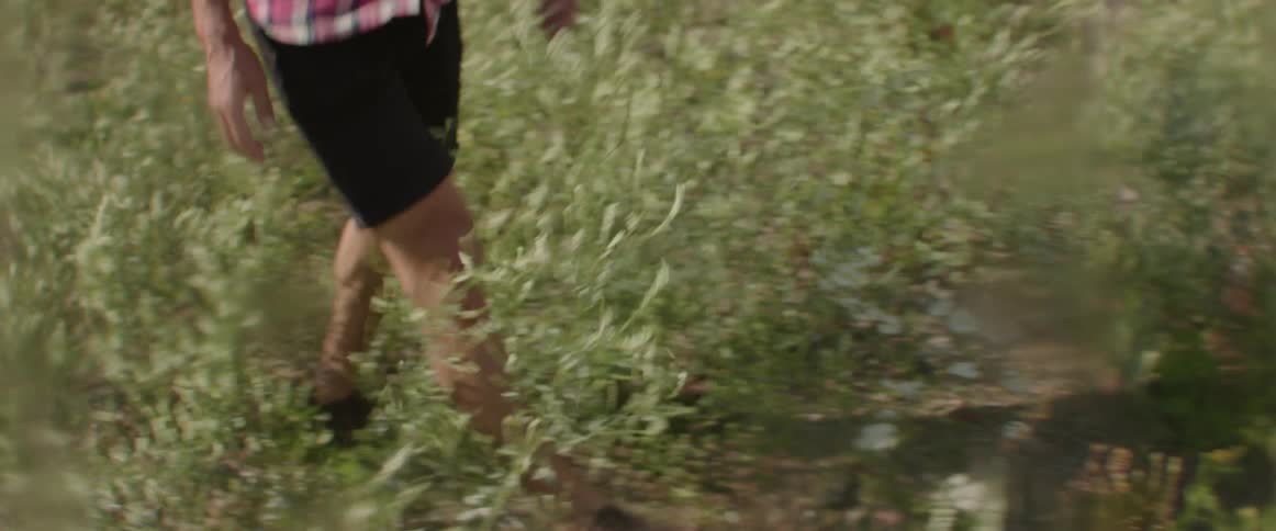 A person walks through tall wild grass during a summer trip in nature.