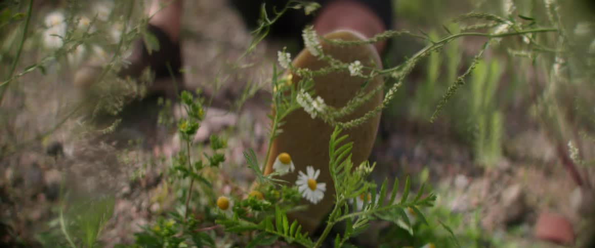 A man wearing brown shoes rests his foot near a white yarrow flower.
