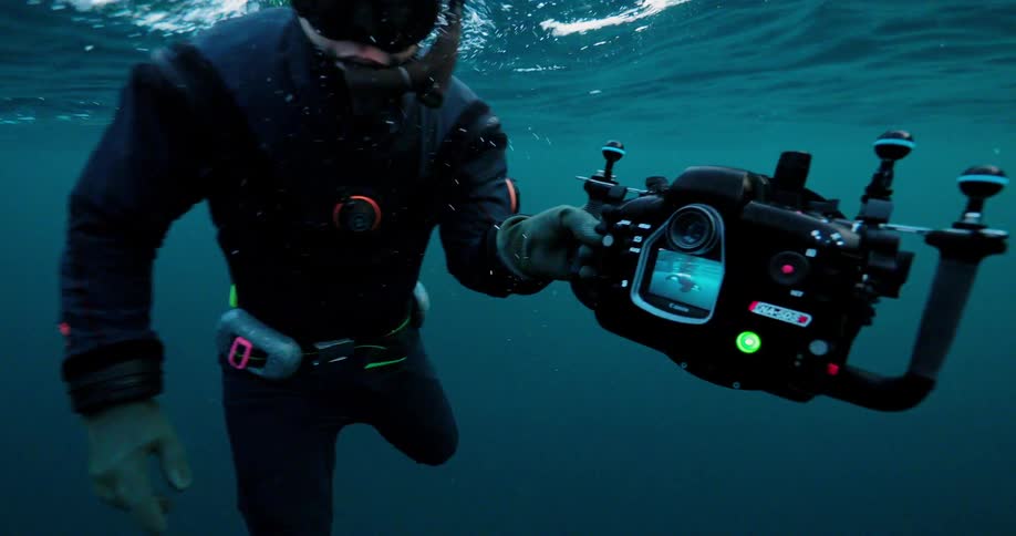 A diver gives a thumbs up and ok hand signal