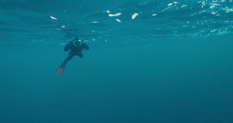 Person takes pictures underwater with a camera