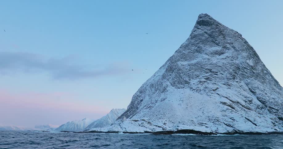 Birds flying around a large rock formation coming from the sea on a mostly clear day
