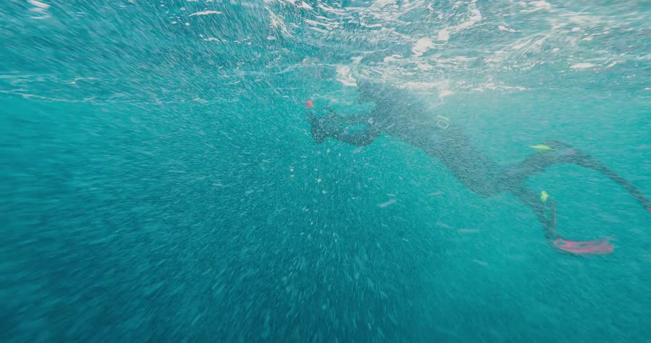A diver holding a camera swims with his head out of water