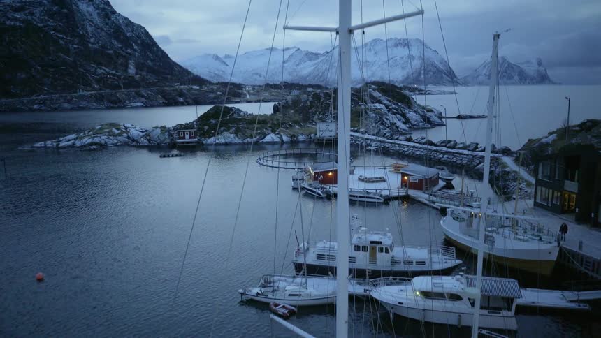 Boats sit docked on the water