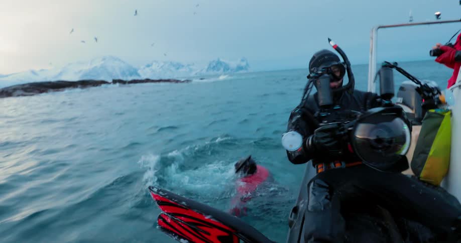 People in diving gear hold cameras as they jump into the ocean to observe killer whales