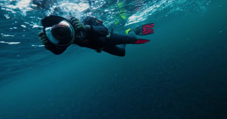 A diver swims just below the surface of the ocean holding an underwater camera