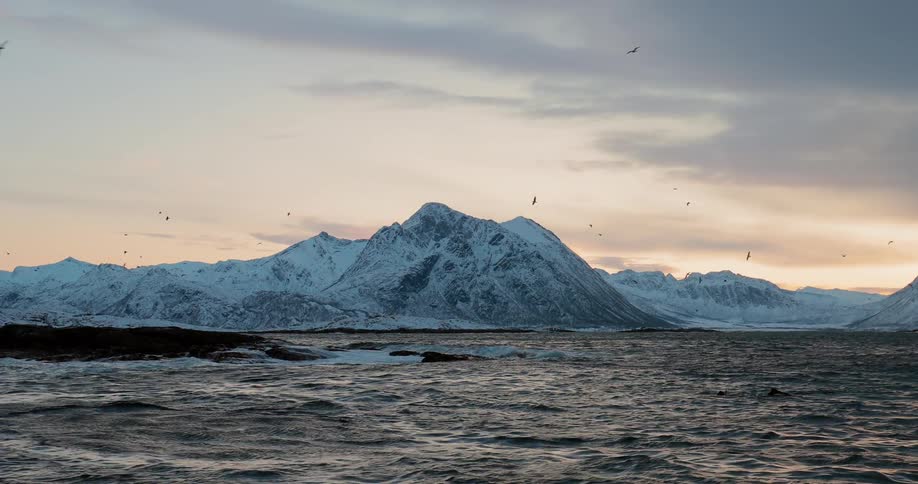Birds fly above choppy waters by snow covered mountains