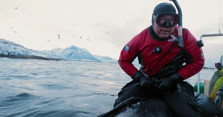 Seagulls and killer whales circle near a man putting on diving gear in a dinghy during the day