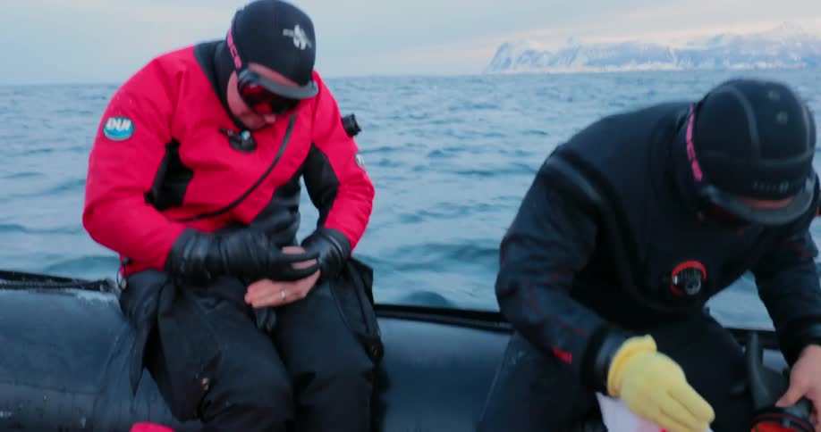 Two men are putting on diving gear as they sit in a dinghy with killer whales surfacing nearby