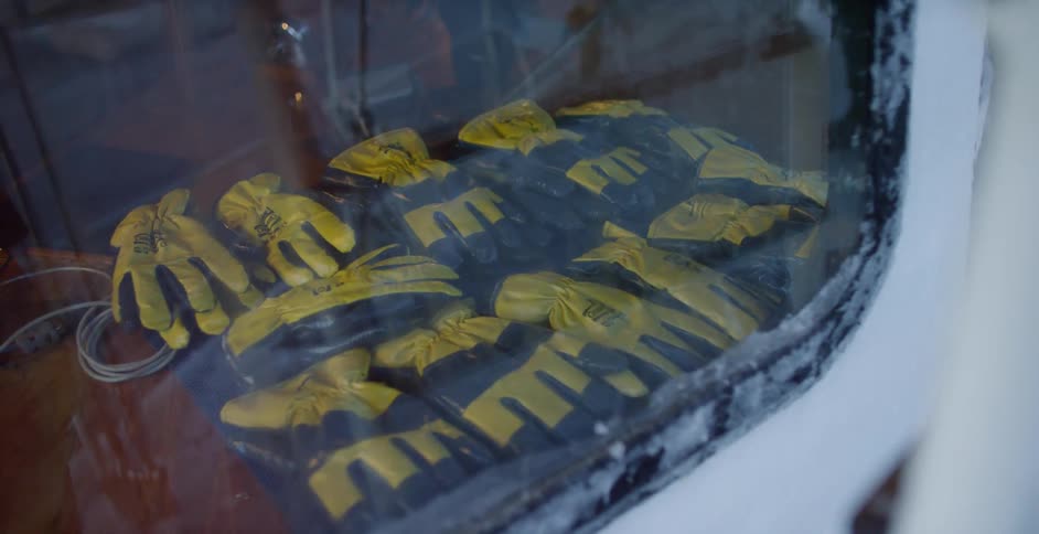 Work gloves are lined up on a table