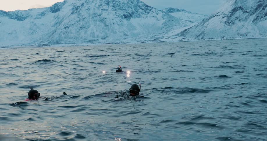 Snorkelers with cameras tread water near the snow covered coast