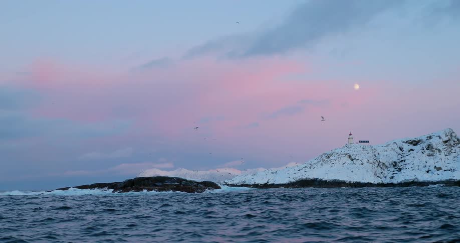 Birds are flying over a snow-covered coastline at dusk