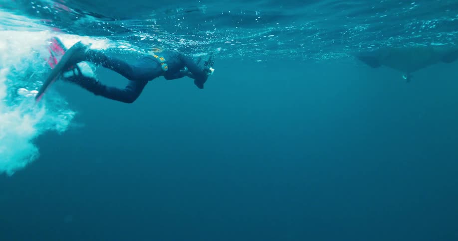 Diver swimming neat the surface of the water filming sea life