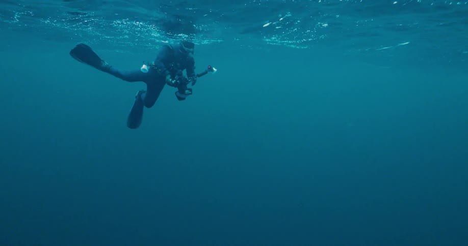 A diver holding a camera treads water