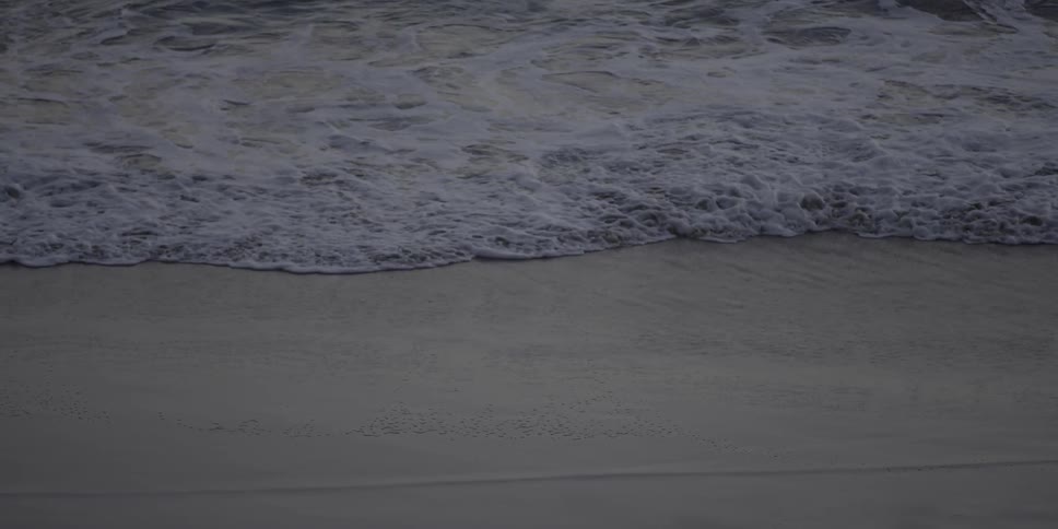 Waves slowly creep up on the shore