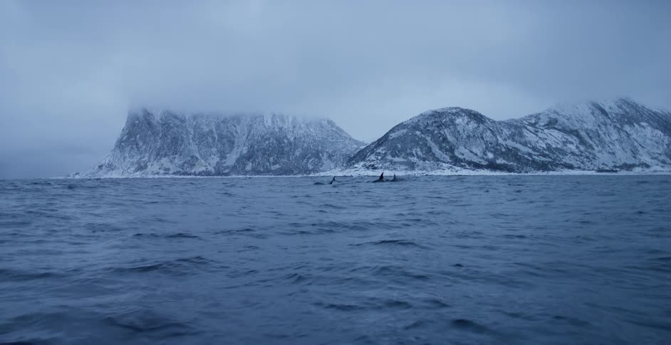 Waves crest the surface of choppy water near snow covered mountains