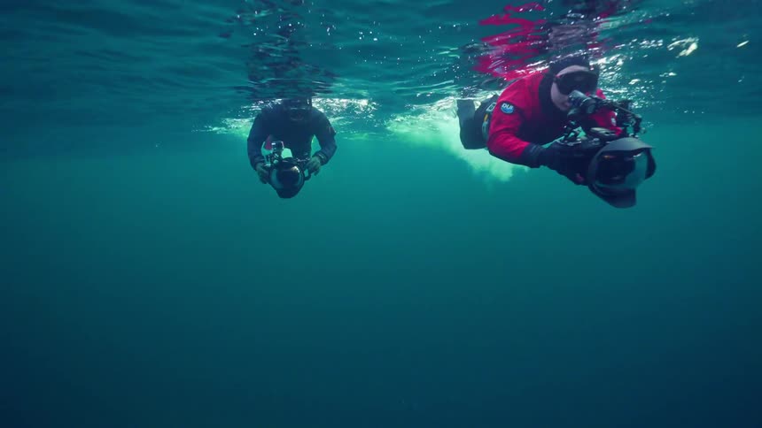 Divers swim in the ocean